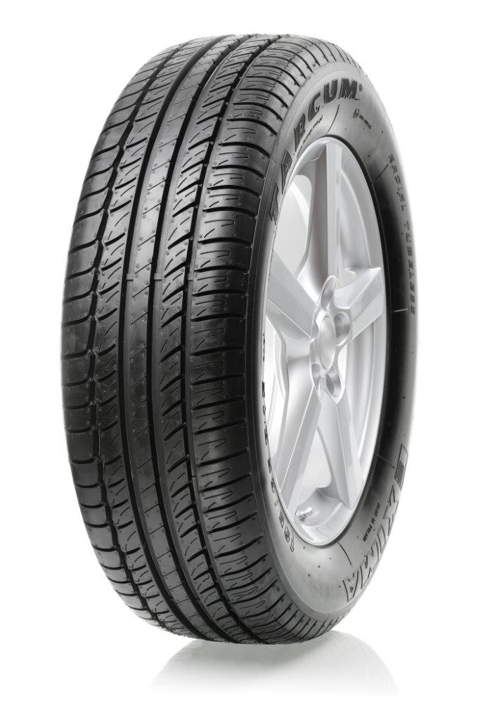 Pneumatiky Targum Exima 195/65 R15 91H letní osobní a suv